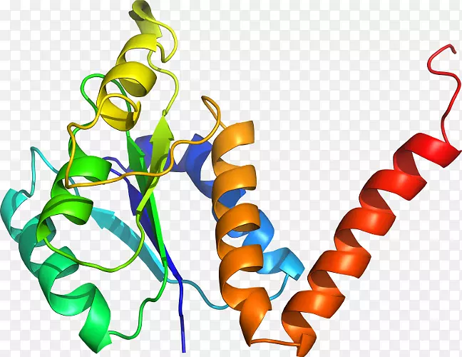 ������ֲ�ﾥ���鱦ϵ��-�鱦-������