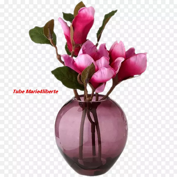 �л���ƿ��԰õ�����컨ƿ-������