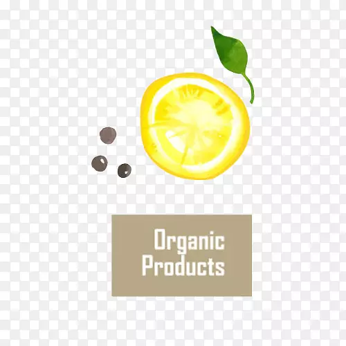 �����ֻ�����Ƭ-������