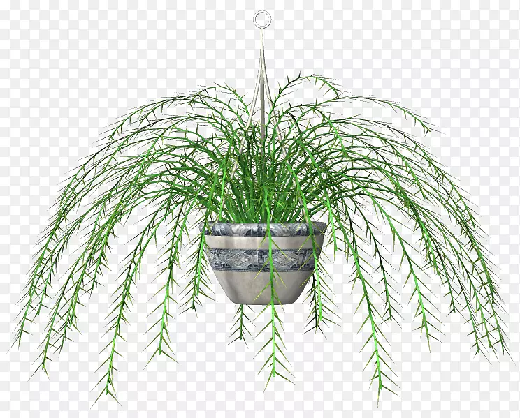 �廭pngͼƬ����Ҷ��.������-������