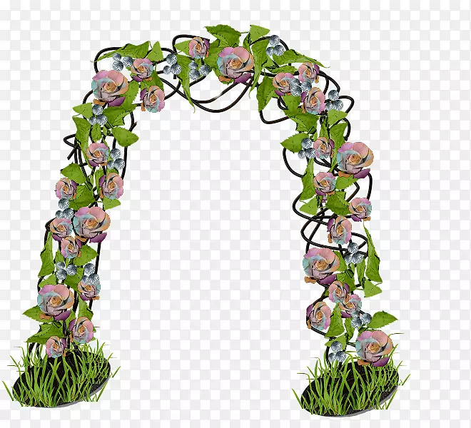 ������ƻ��迪��ֲ�������-������