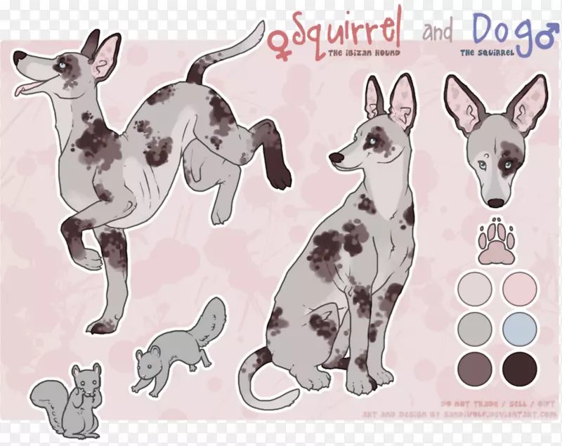 ������ҹ�����צ�Ӿ�Ȯ-�Ĵ���������Ȯ-������