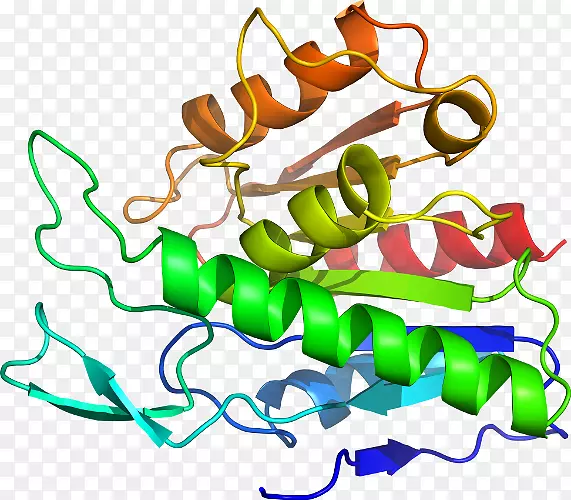 ������ֲ�ﾥ�߲�������-�߲�-������