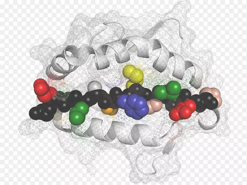 ��Ʒ������������-������