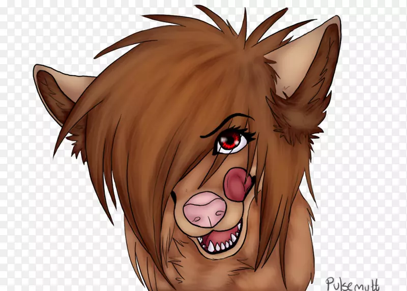 ����ȱ��è��ͼ-è-������