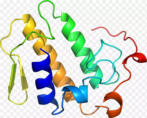 �������л����߶�����-������