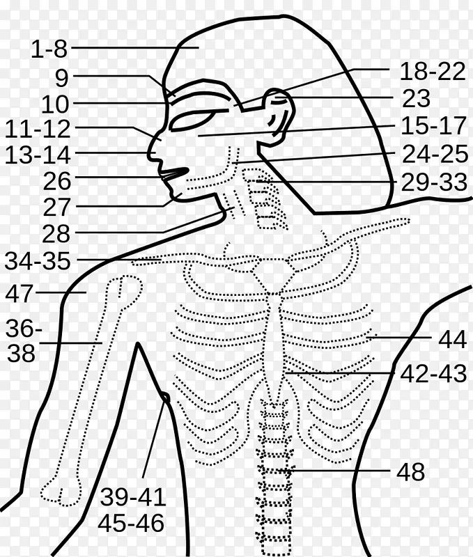 Edwin Smithֽɯ�ݣ��Ű���ר��ҽѧ-������ʦ-������