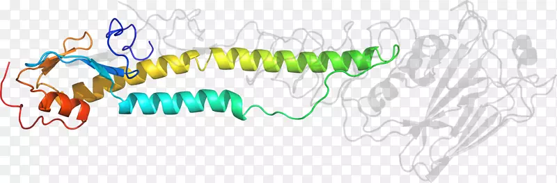 ��������ͼ����߲�Ʒ���-������