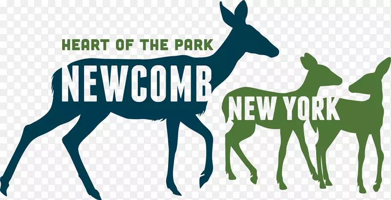 ŦԼ����˹������˹Ӫ�س�����ŦԼ��-��-������