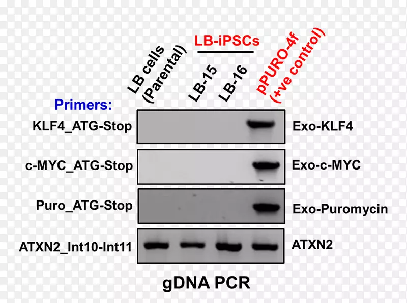 ���������Ʒ�����-������