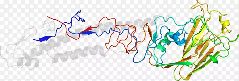 �������ߵ���-������