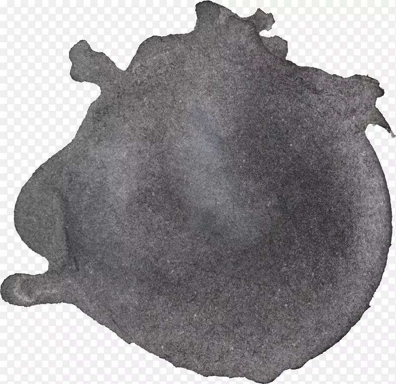 ˮ�ʻ�-������