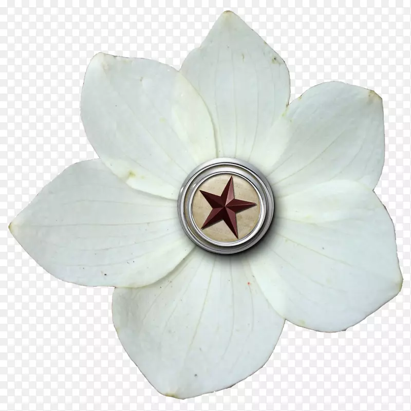 ����ֲ��.���黨-������