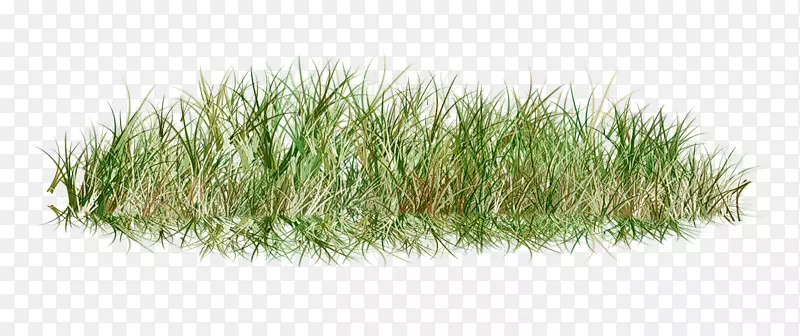 ��������ƺpngͼƬ��ͼ��.��-������