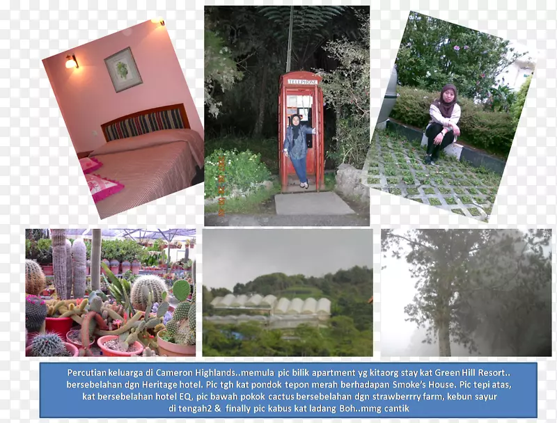 ����������Ǳ�ͥԺ��-������