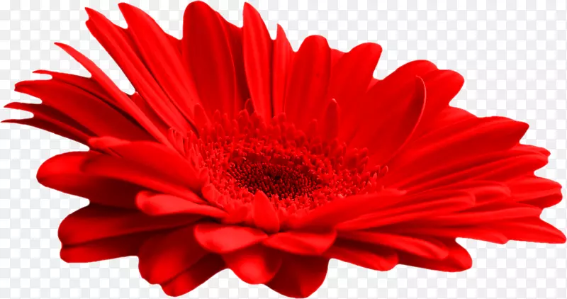 ������-������