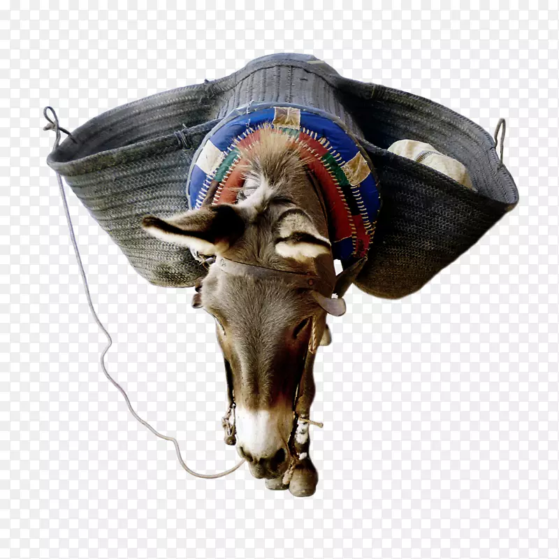 ţ��-������