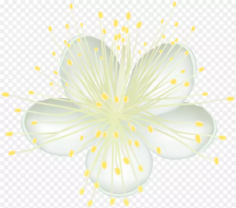 �Գ��������ֲֽ��Ұ����-������