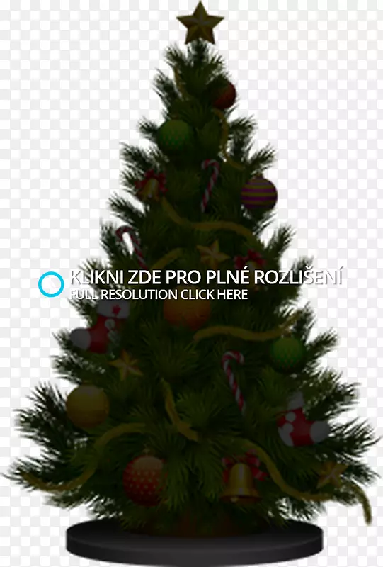 ������ʥ��ͼ��ʥ����ʥ����-ʥ����-������