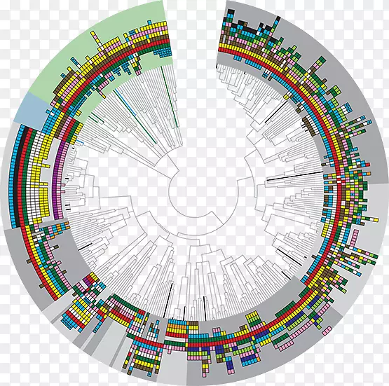 ��Ʒ������������-������