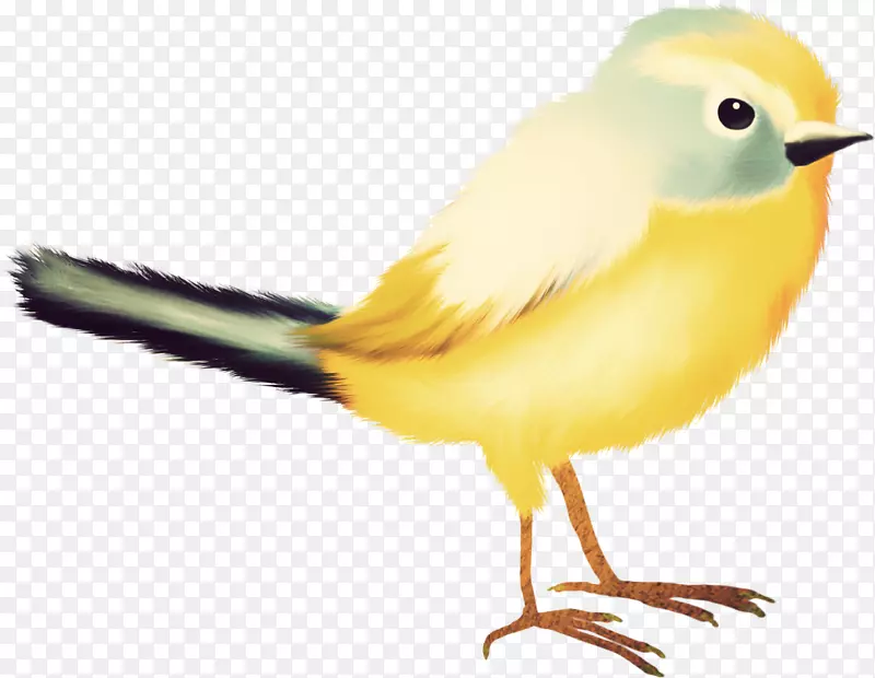 �����Ⱥβ��-������