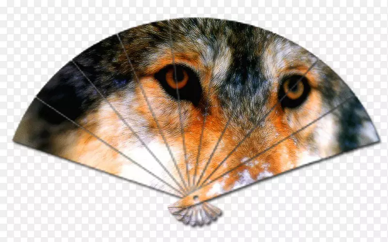 ����è�����������-è-������