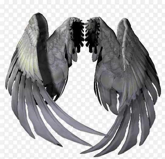 pngͼƬadobe Photoshop��ʹ������gif-��ʹ���ͼ��-������