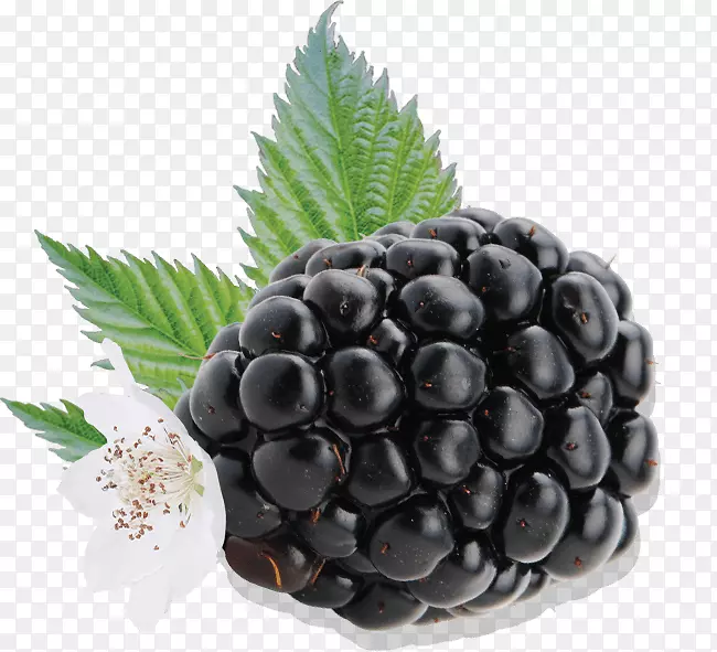 Driscoll��s BlackBerry bosenberry auglis-��ݮˮ��-������