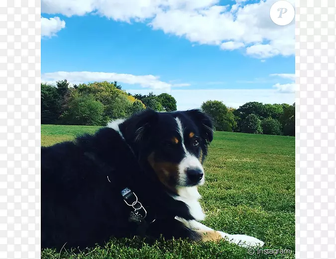 Ȯ�ֲ�����ɽȮ������ʿɽȮ���������գ�ɭ���-������