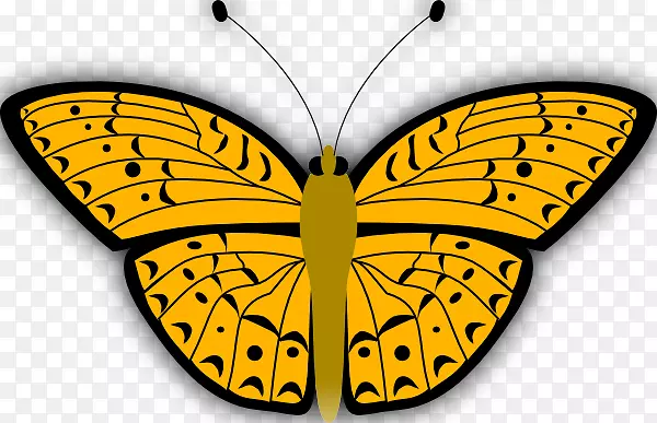 �������������.����ͼƬ-������