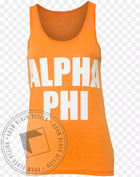 t���ƽ������������-��Phi��-������