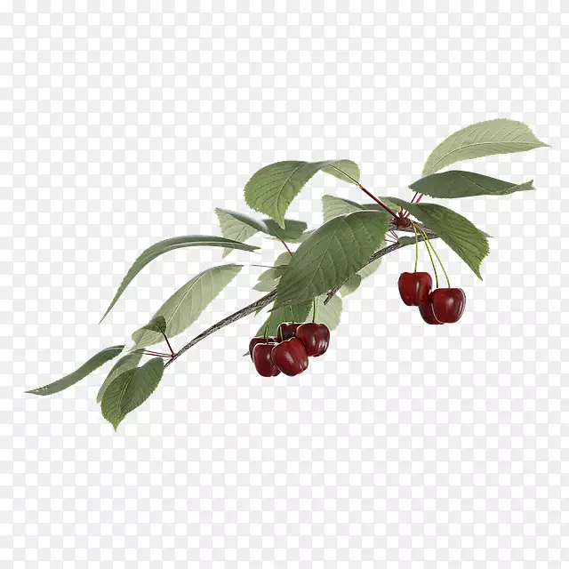 ӣ�Һ��߲�ͼƬ����.xchngˮ��-ӣ��-������