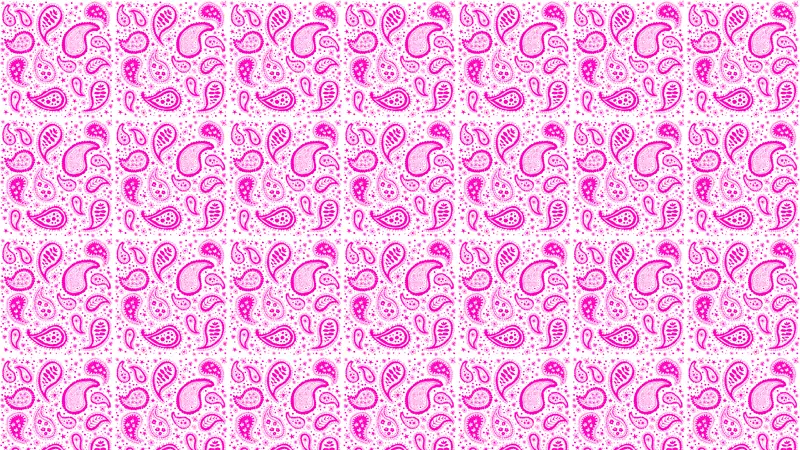 ��˹�������ֽ-������