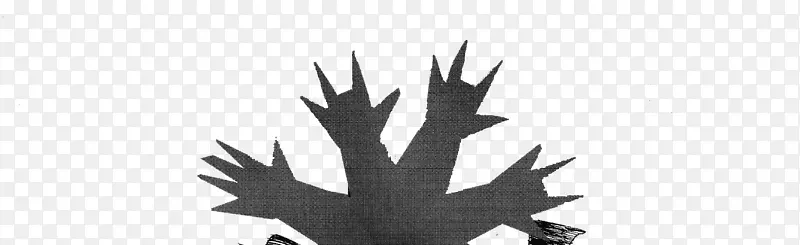 ������������ֲ��Ҷ��֦-��-������