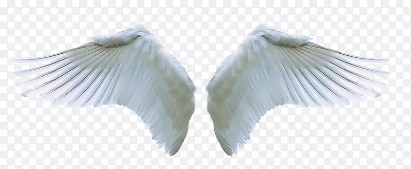 pngͼƬ��ʹͼ�������.xchng-��ʹ-������