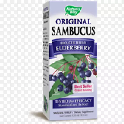 �л�ʳƷ������ʳ������ǽ�-������