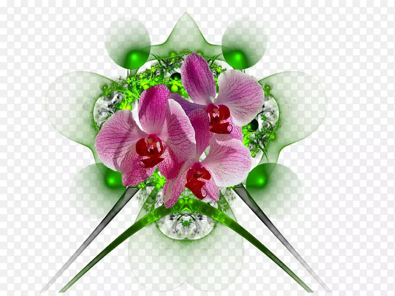 ��������л�����-������