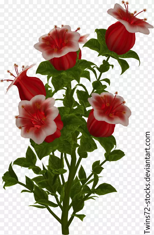 �л�ֲ��������ͼ-����-������