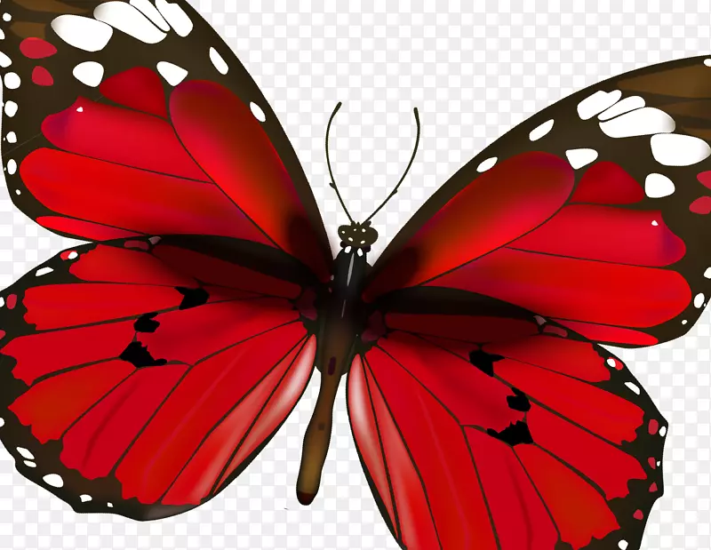 ��������ˢ�ӵ����Գƺ���-������