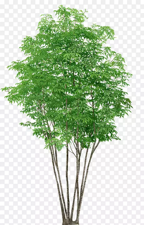 pngͼƬ������������ͼƬ��-������