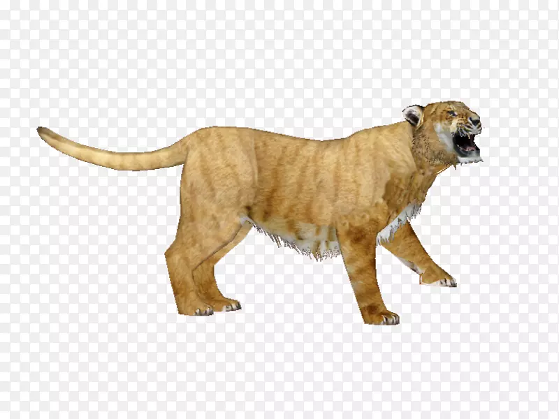 �����ɶ���԰���2ֻ½�������è-������