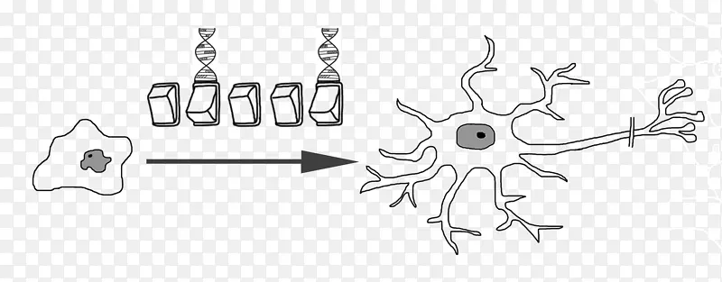 ��ϸ����Ԫϸ���ֻ���ѧ-������