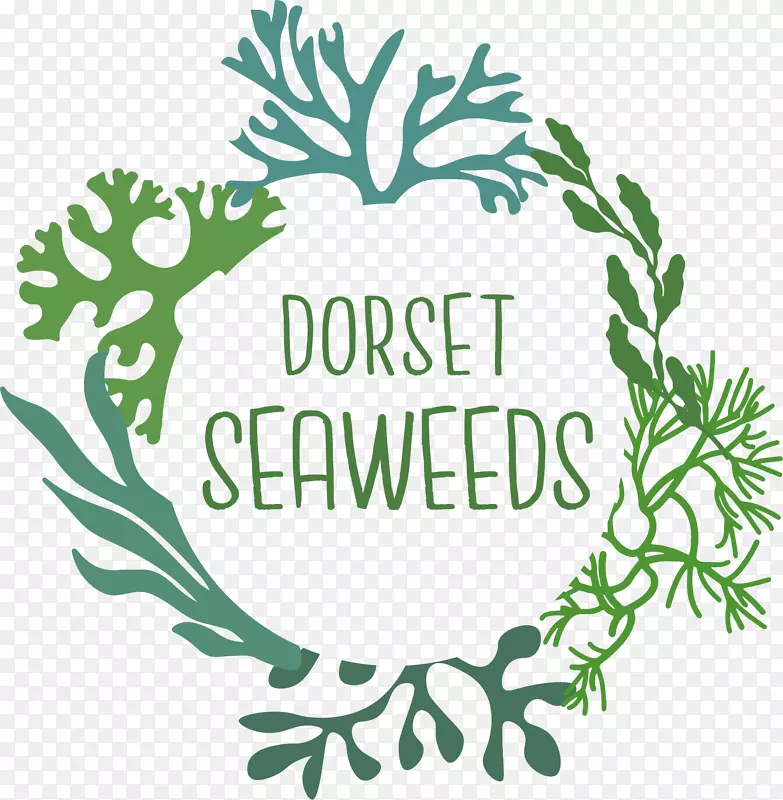 ����ֲ�ﾥҶ����ֲ��-������