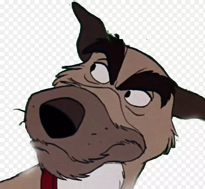 ���롢����è���������ӡ���-������