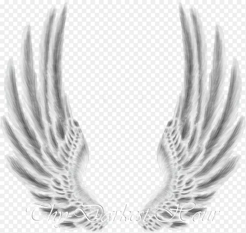 �����ֽ��ͼ������.���-������