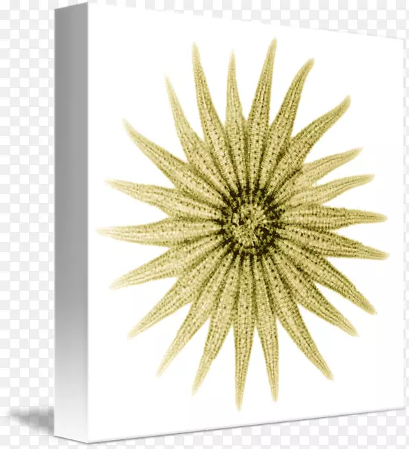 ������Ӱ������-��-������