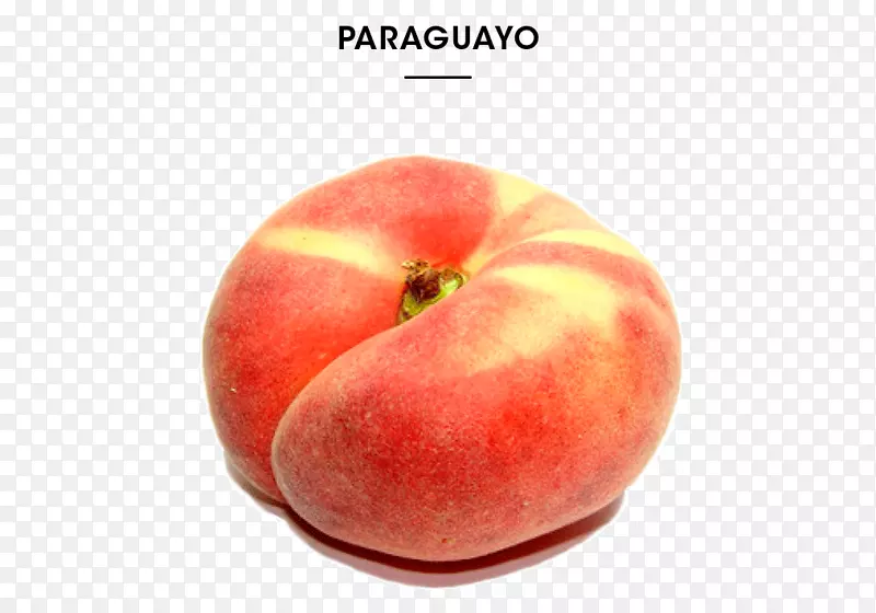 ����������ҫ����ʳ������-������-������