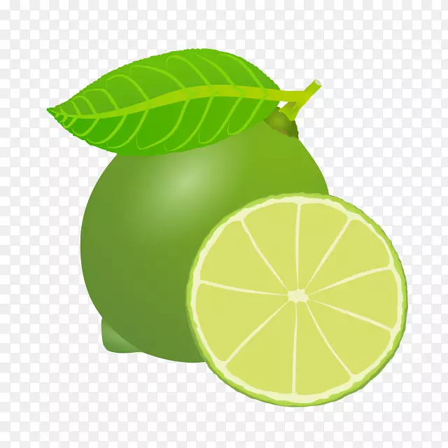 ��˹���������-������