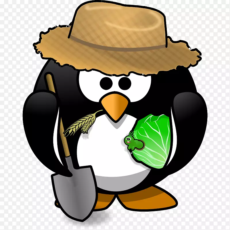 ���յ�����������-԰����Ƭ-������