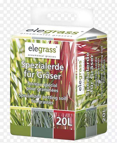 ��������̿��-������